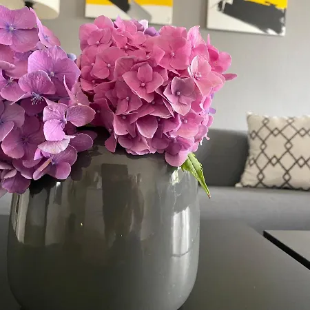 Apartament Nordicasa