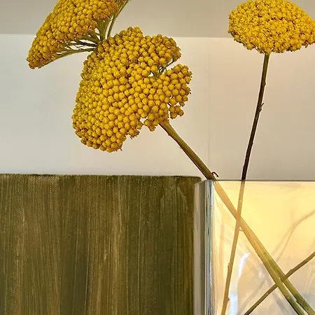 Apartament Nordicasa