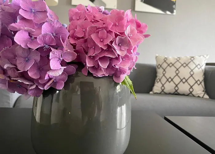 Apartament Nordicasa